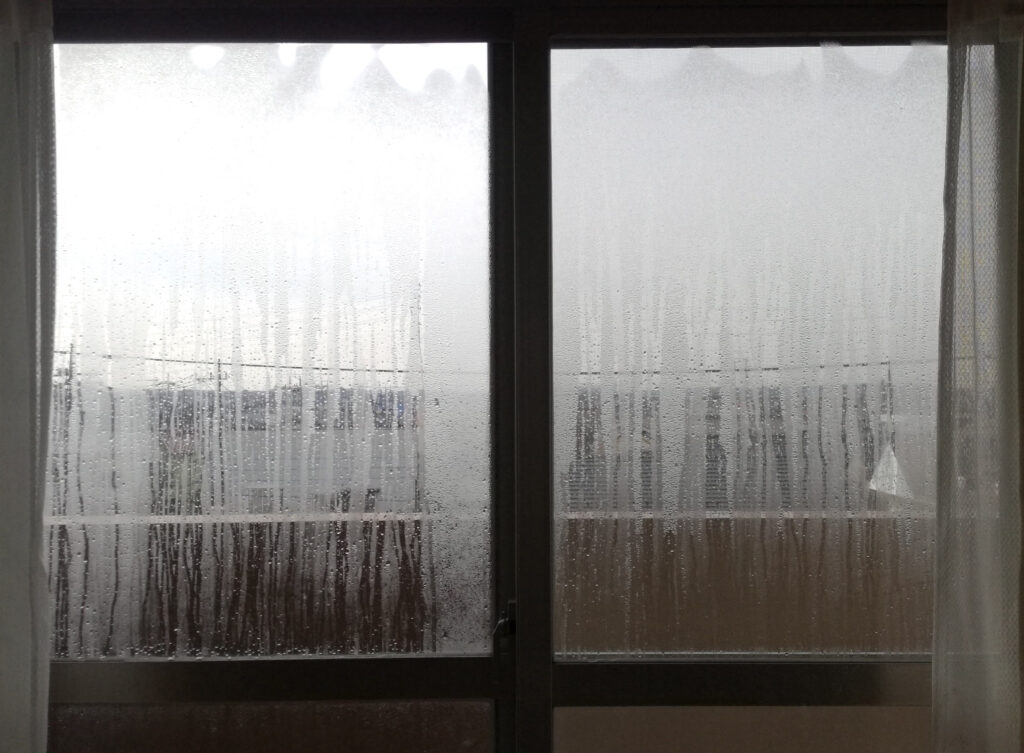 知ってた ベッドルームのカビは 生える前に予防 が鉄則