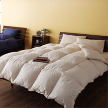 �t�����`�̍���Y���f�G�ȉH�ѕz�c