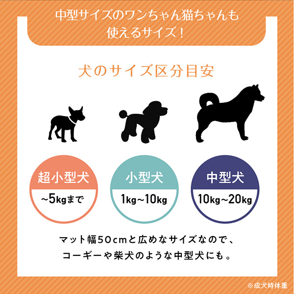 50%OFF 住友電工 イゲタロイ ＳＥＣ−ボーリングバイト 〔品番:C20M-STUPL1103-22〕 2751507 送料別途見積り,法人  事業所限定,取寄