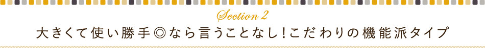 大きくて使い勝手◎なら言うことなし！こだわりの機能派タイプ