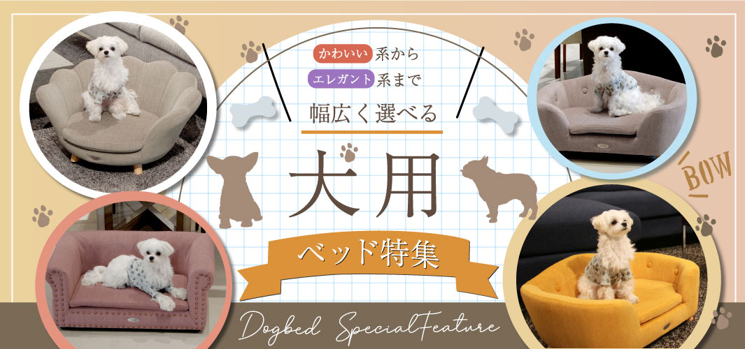 かわいい系からエレガント系まで幅広く選べる犬用ベッド特集